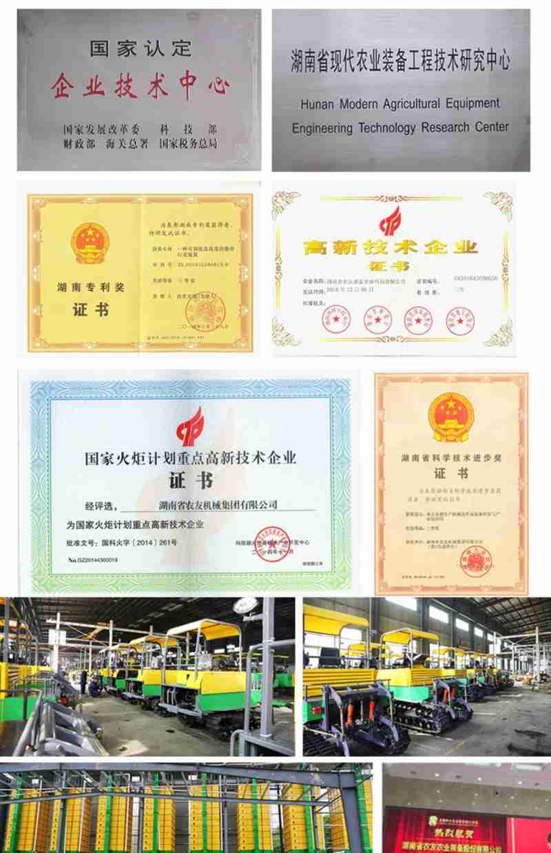 “王入大邑商”展览展出的武丁时期甲骨珍品(央广网记者 张羲轮 摄)