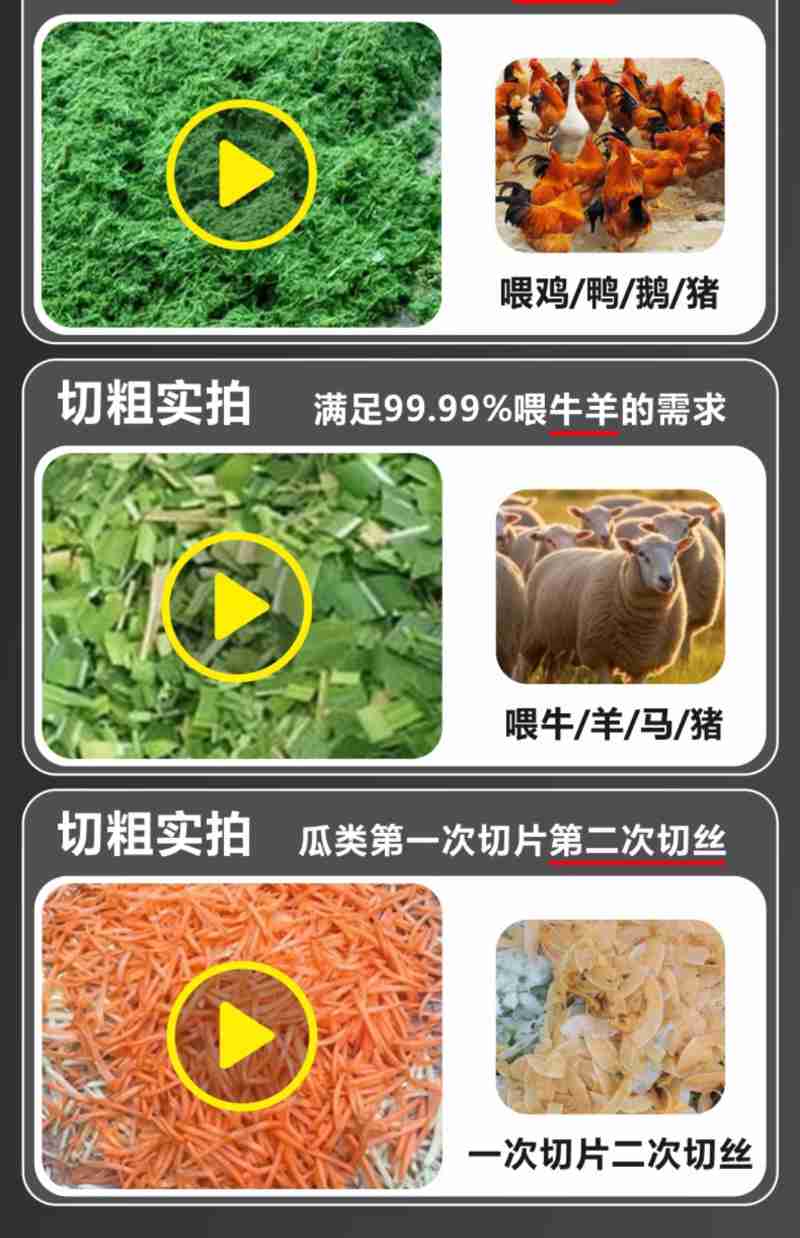 鸟生军在查阅资料。胡章华供图