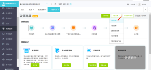 電子發(fā)票錄入軟件 應用軟件服務解析